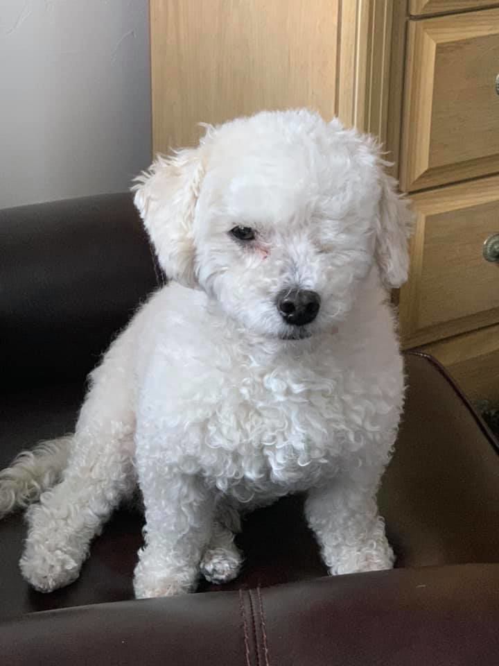 Readers pet photos
